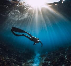 Abenteuer Tauchen – die Unterwasserwelt als Hobby