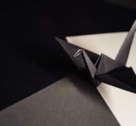 Hobby: Origami