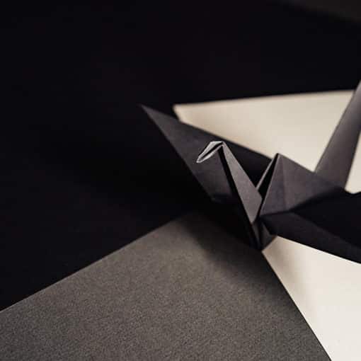 Hobby: Origami